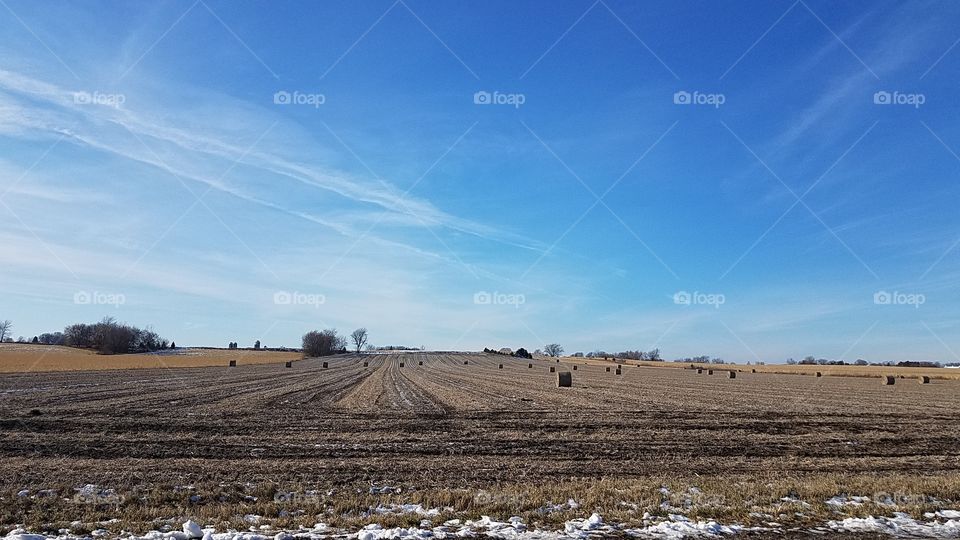 Farm field