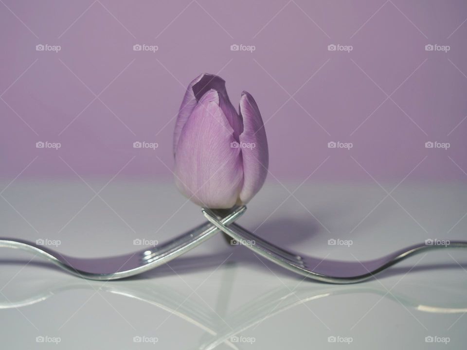 One tulip, two forks