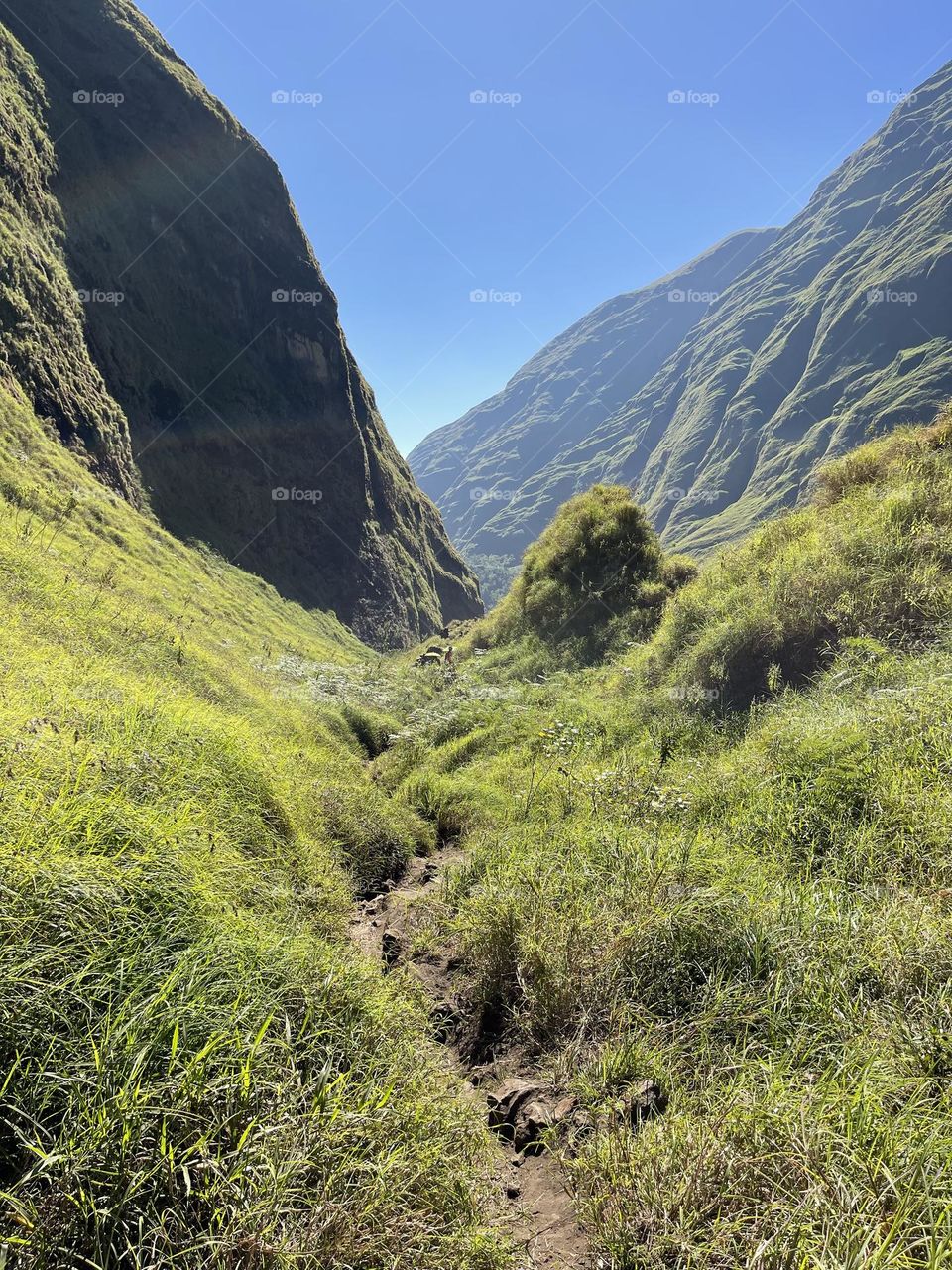 Pathway to Rinjani