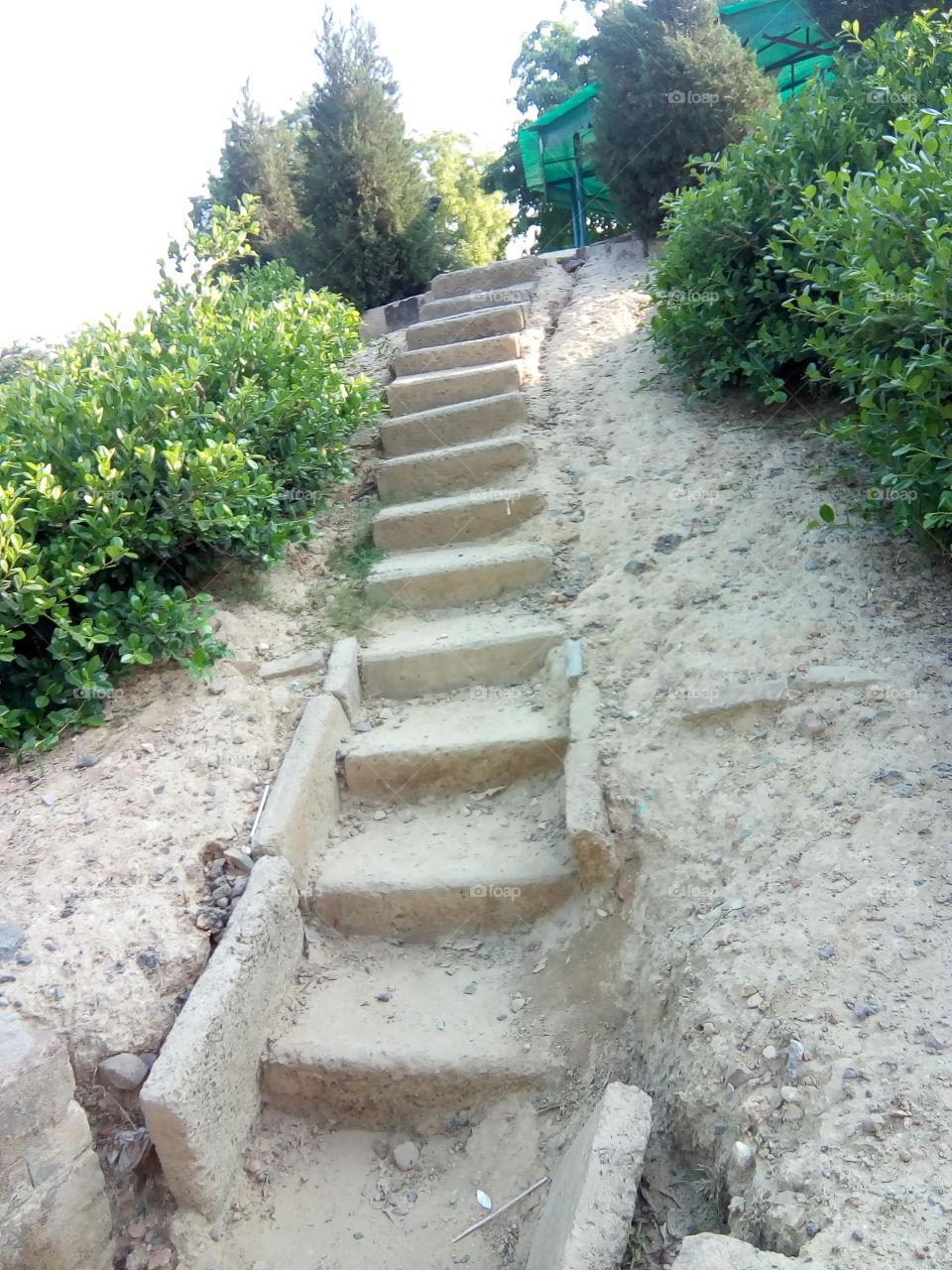 a beautiful sight in a garden