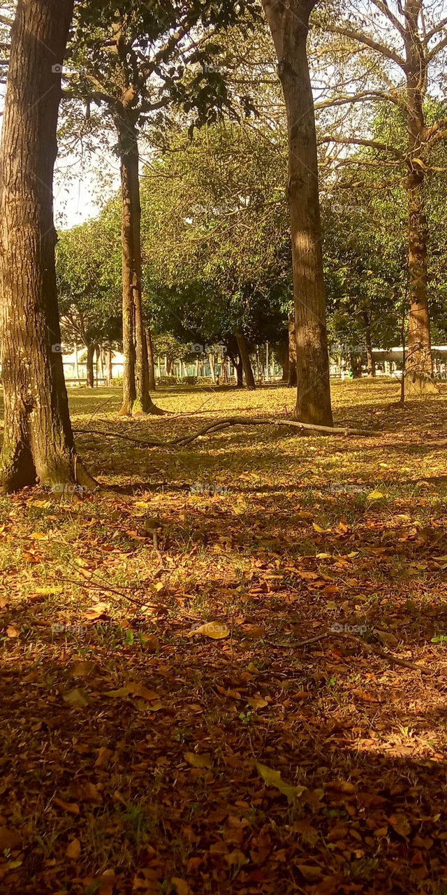 nature
130221
at shore