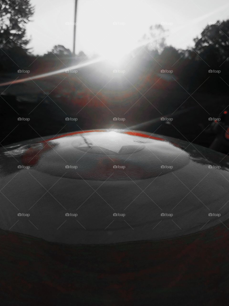 made my first shield today. guess who.