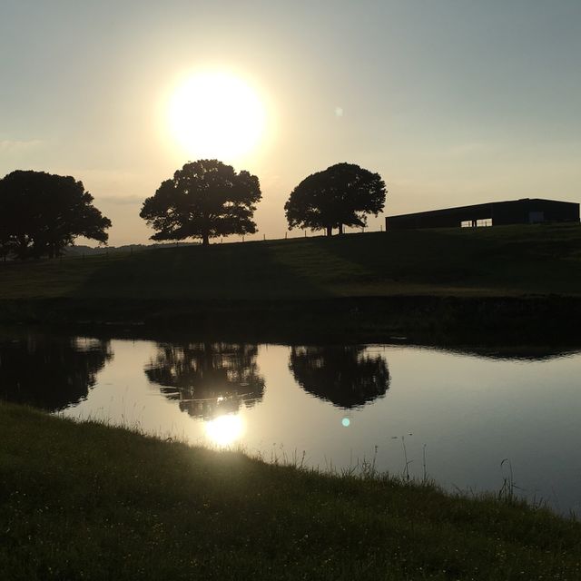 Reflection 