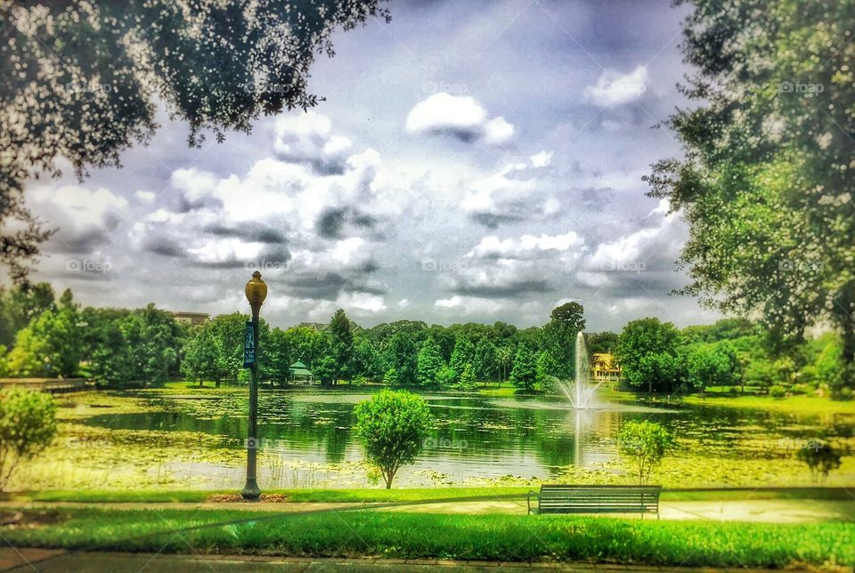 A day in the park. A bench in the park overlooking a lake