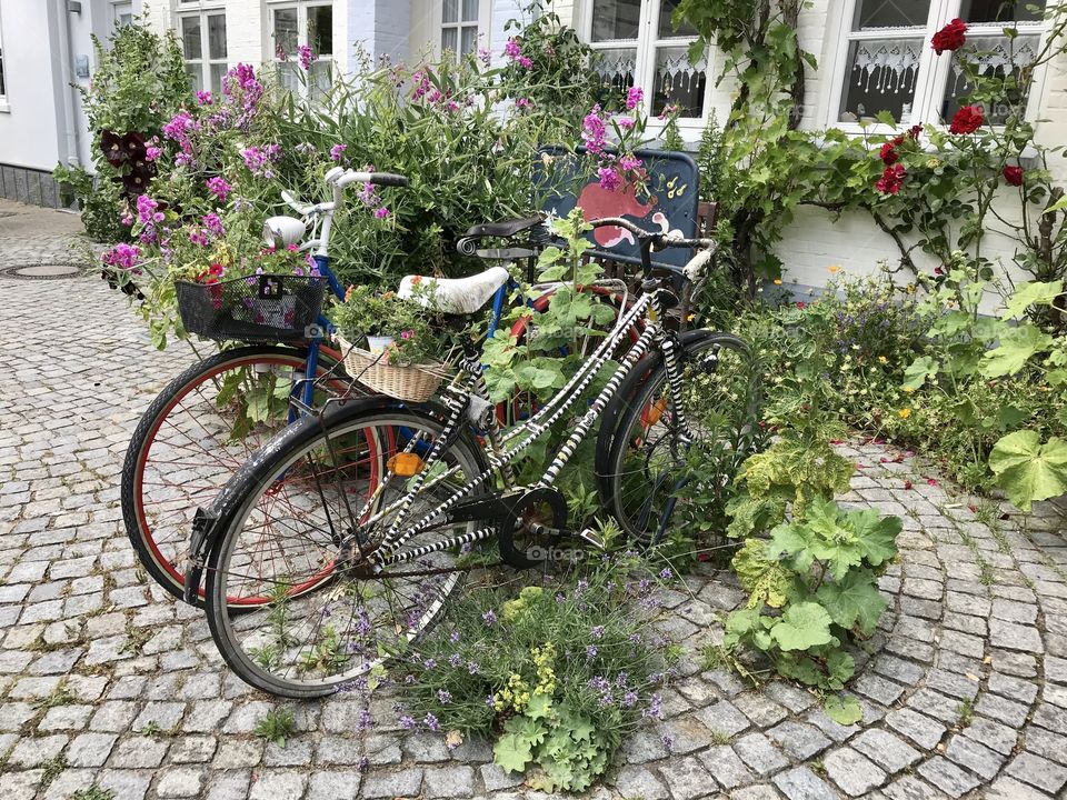 Planted Bikes