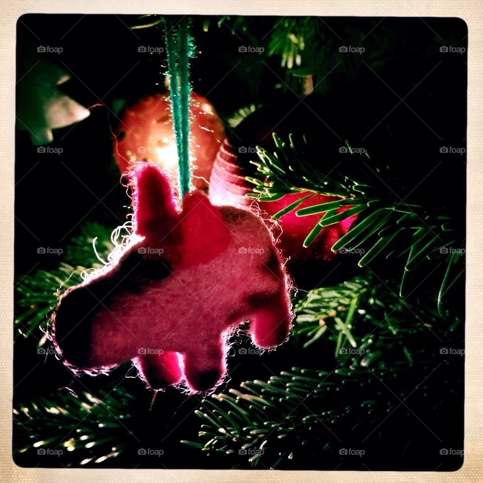 In my christmas tree