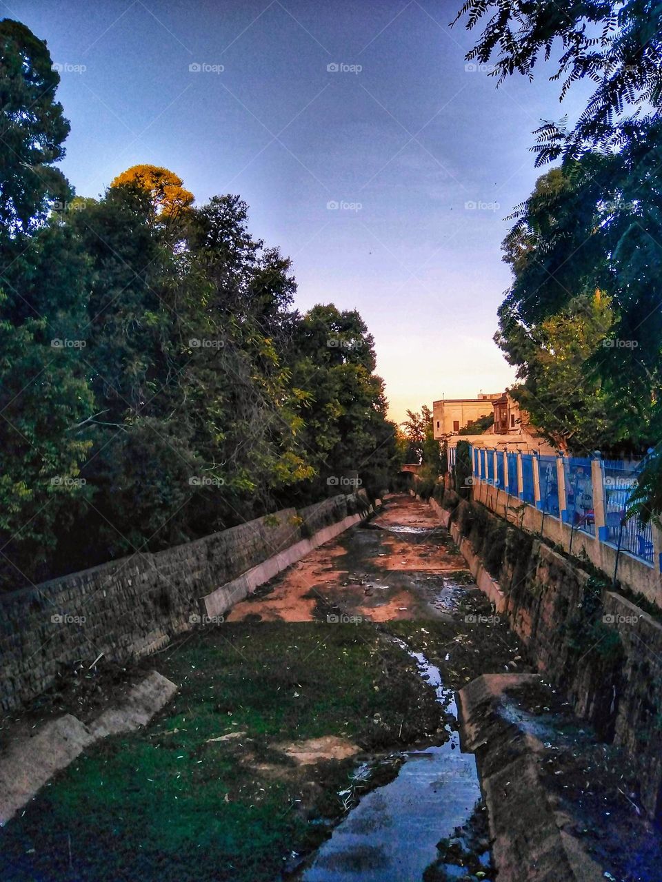 Dried up river in the evening