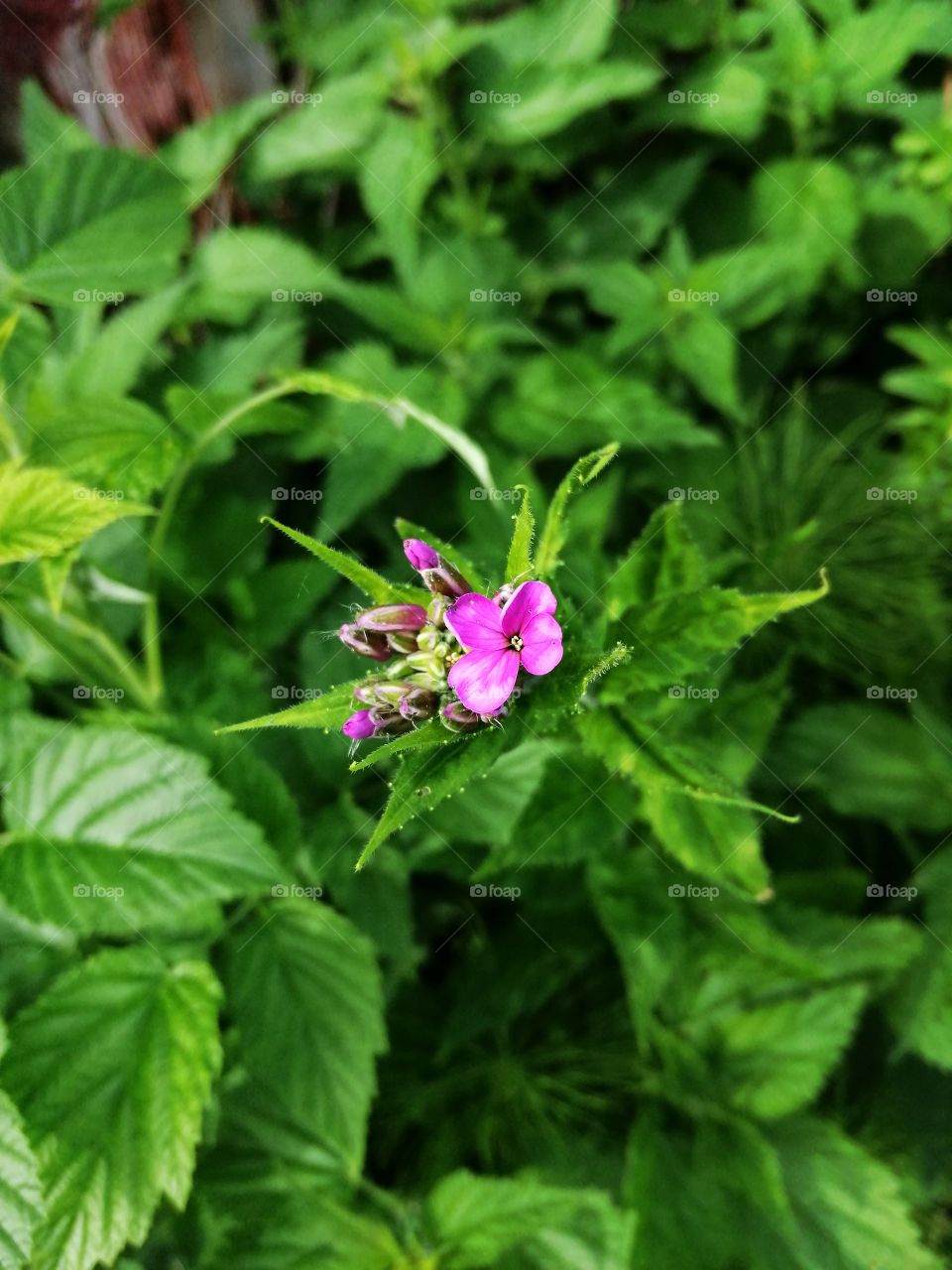 Have not seen you before 😃