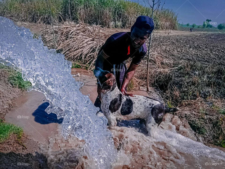 Dog and Boy in water