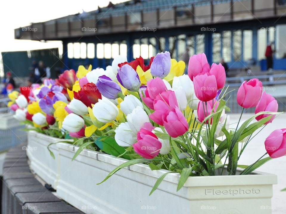 zazzle. com/Fleetphoto