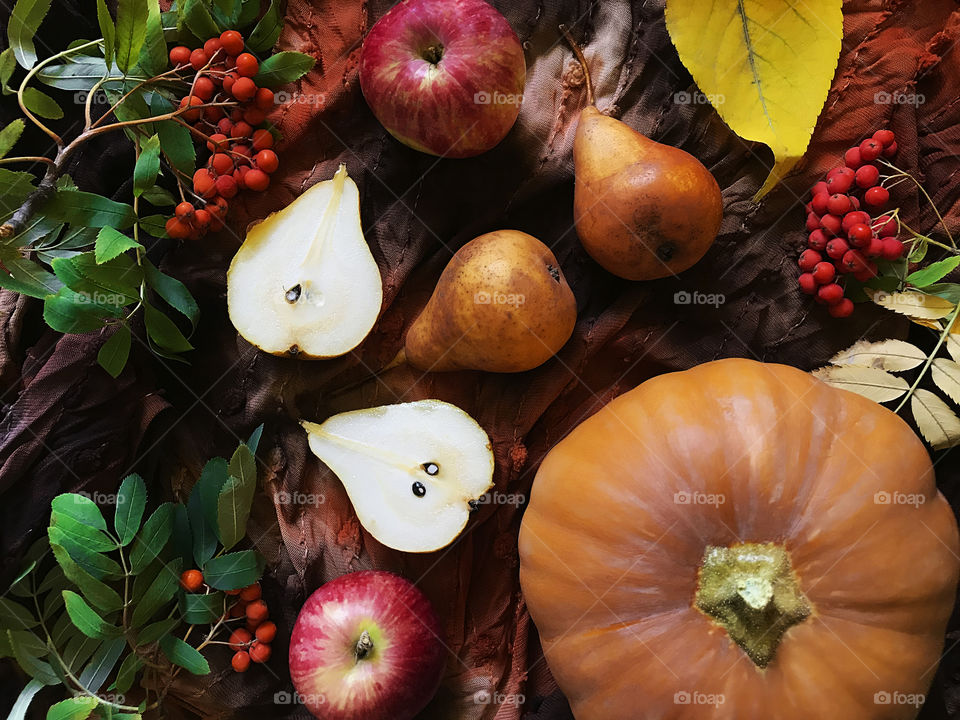 Autumn fruits and vegetables 