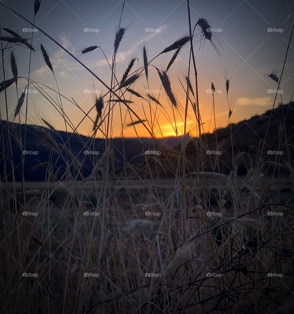 Sunset at lake Roosevelt 