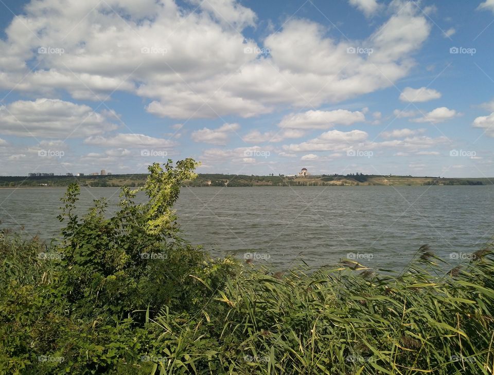 Voronezh river, reeds