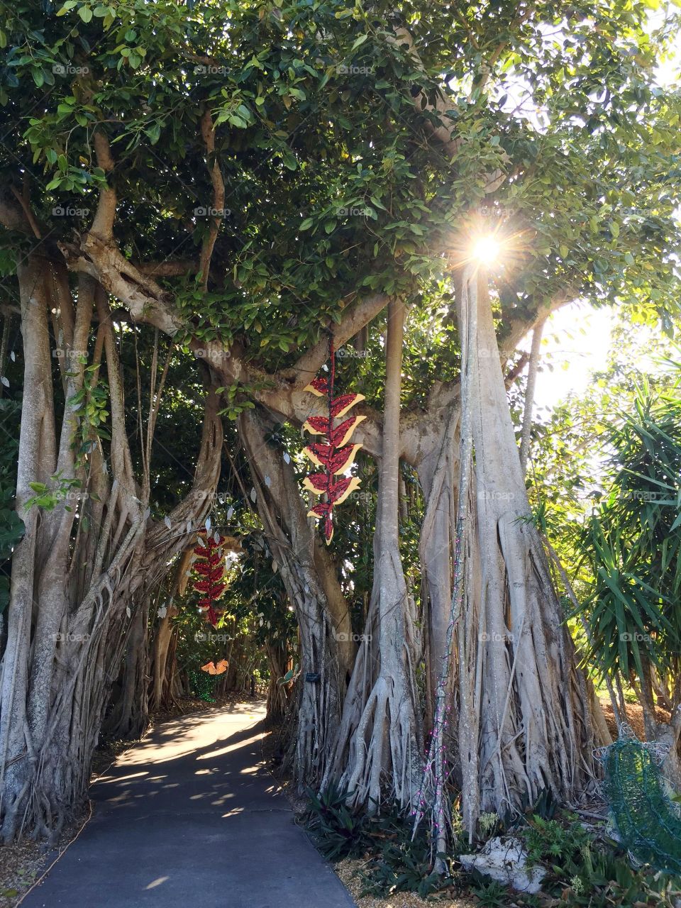 Urban gardens 