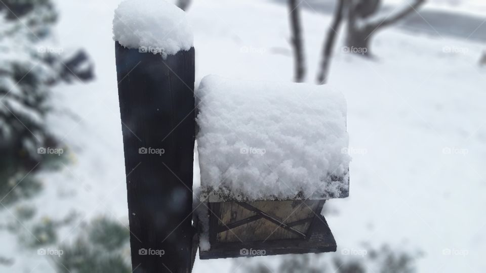 The birds flew south