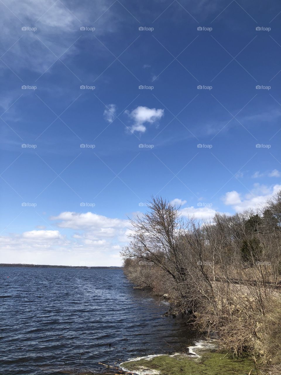 River bank with trees and clouds 
