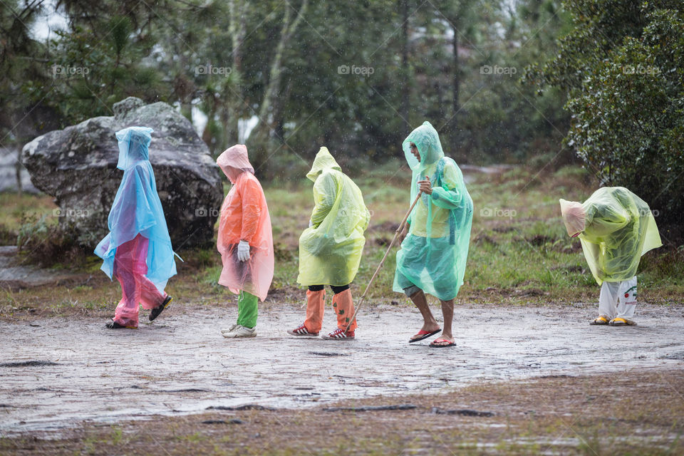 People in the raincoat in the raining forest 