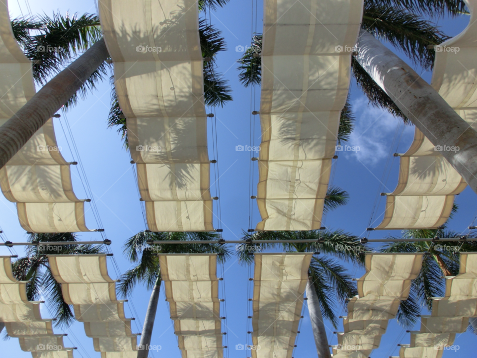 paradise palm trees blue sky sun shade by sanjag