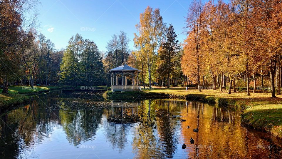 Autumn time 🍁🍂 The park 🍂🍁 Reflection 🍂🍁