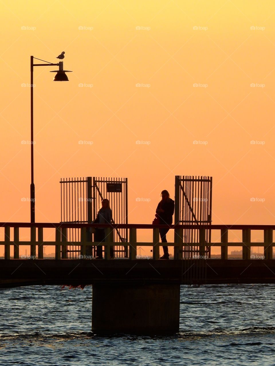 On the jetty