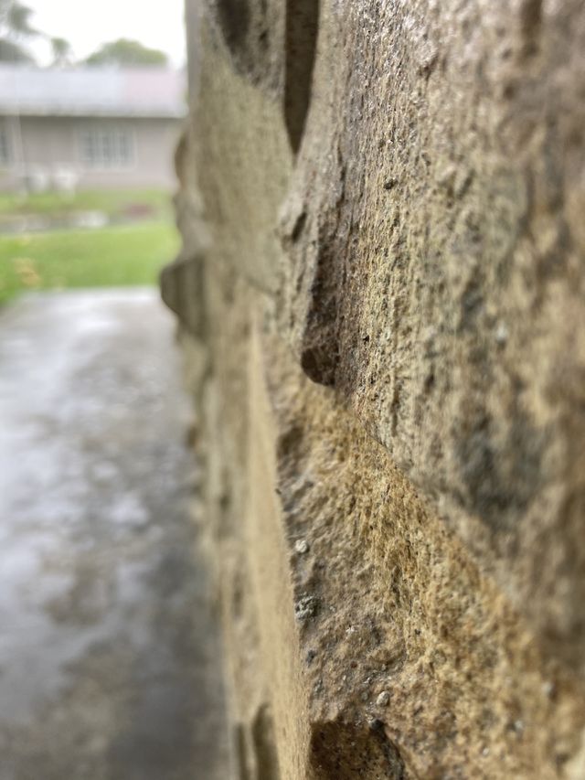Warm in this wall