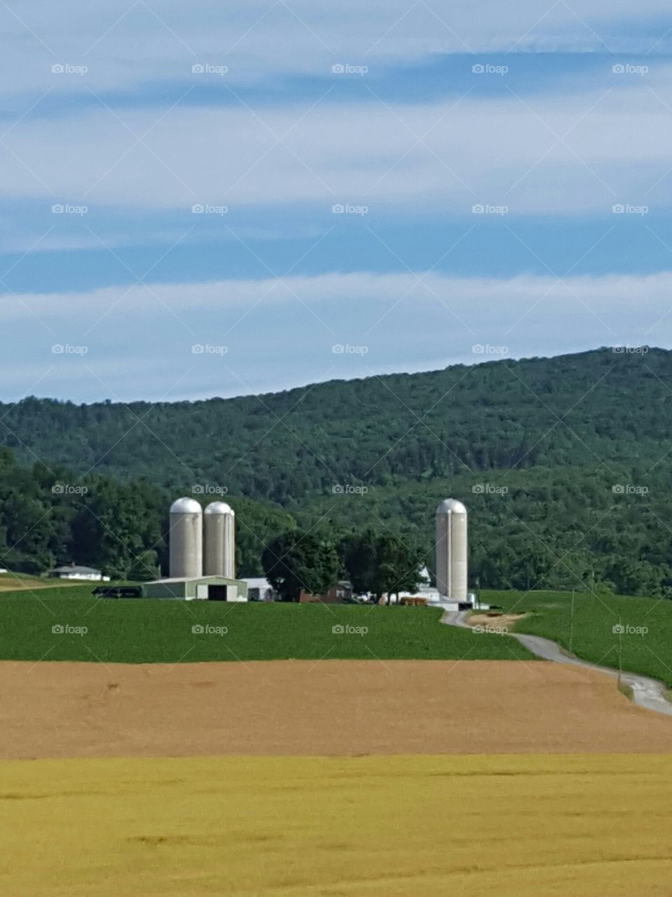 farm in the valley