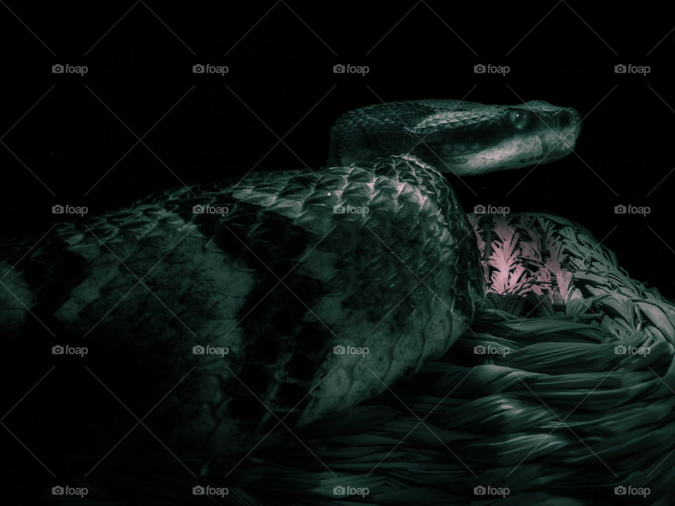 Asmodeus in the Dark