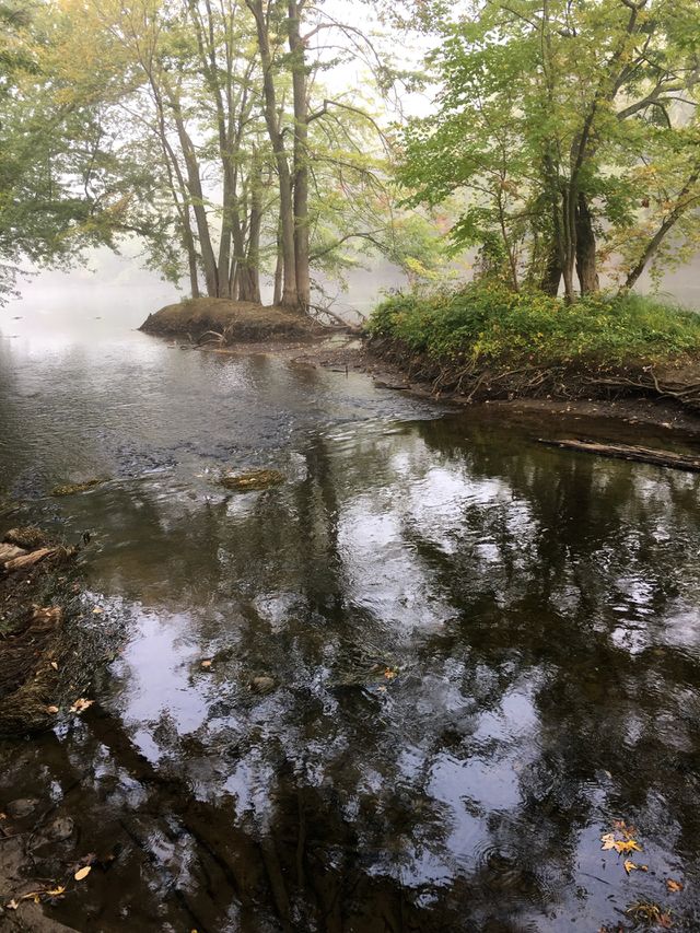 River reflections