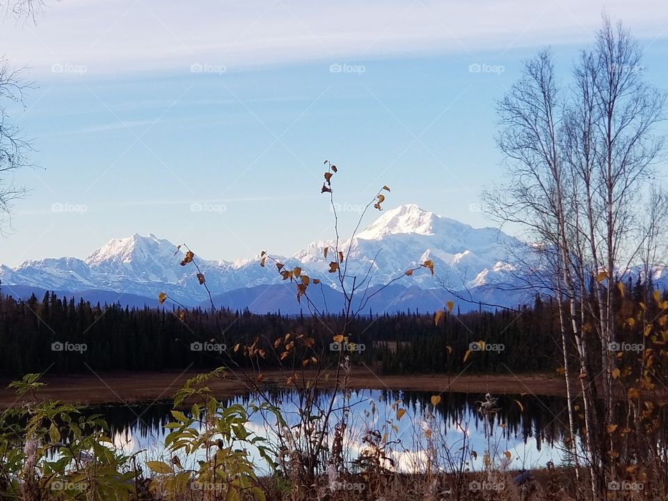 Denali reflected