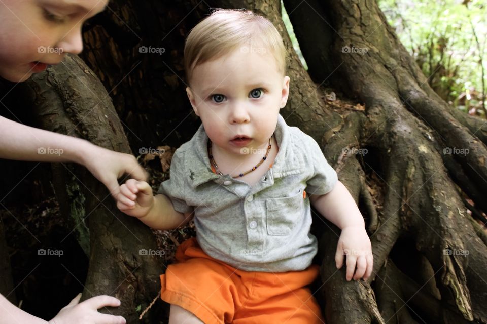 Fun in the big tree roots 