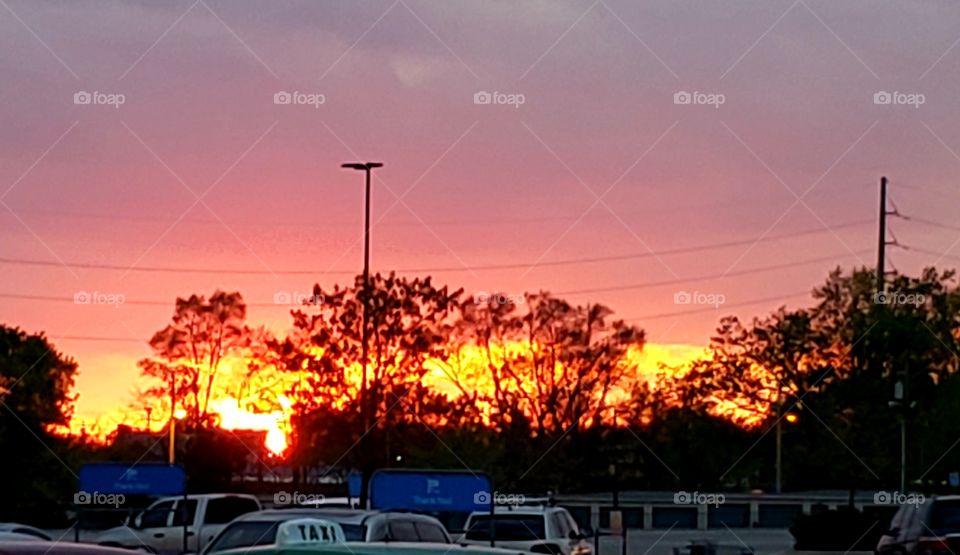grilled cheese sunset