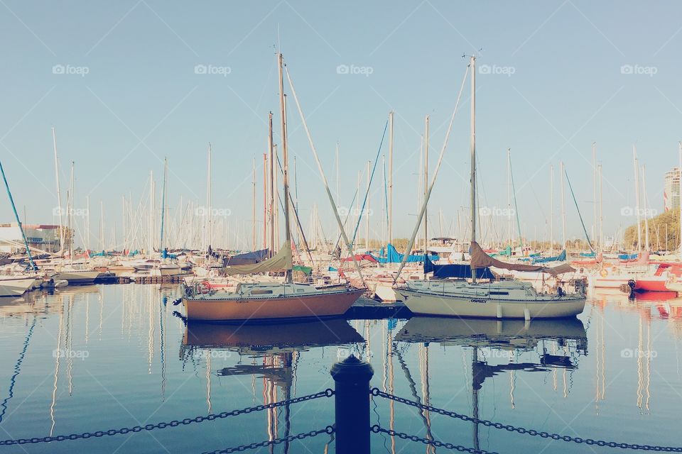 Harbour 