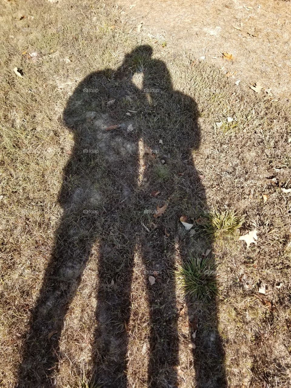 Shadow Love