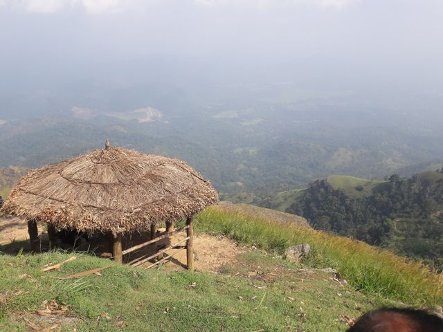 View from Up Above
