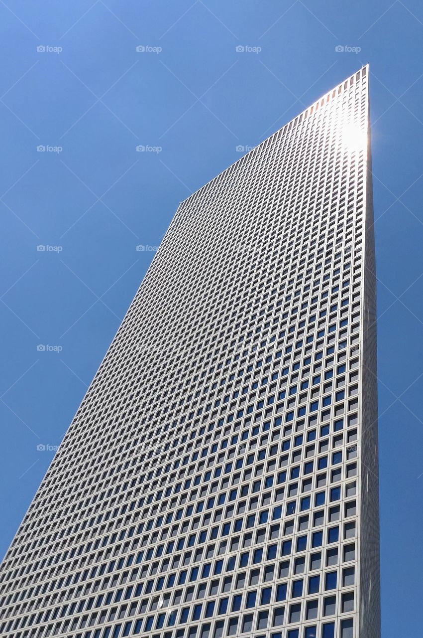 Skyscraper 🏢 Building 🏢 Windows 🏢 Sunny🏢