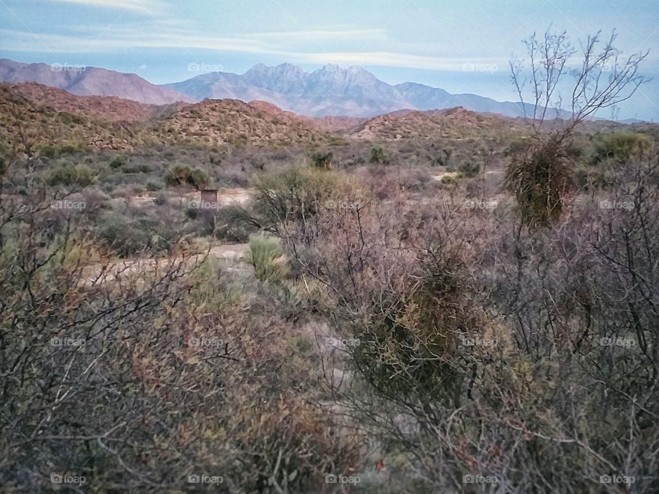 Four Peaks