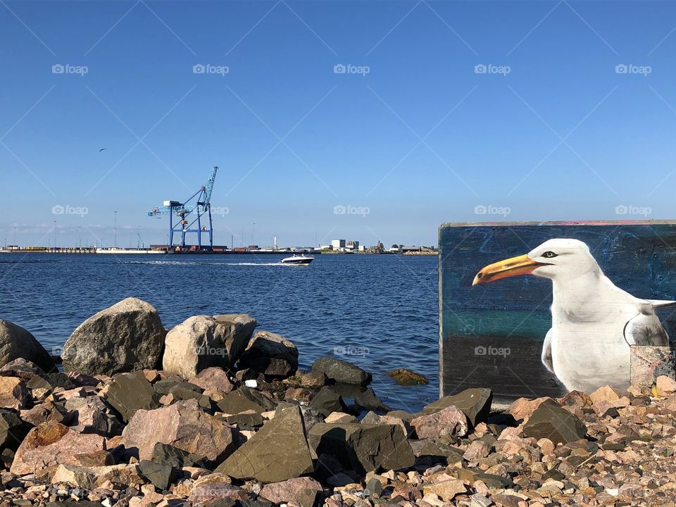 Street art by the ocean - seagul. Malmö, Sweden