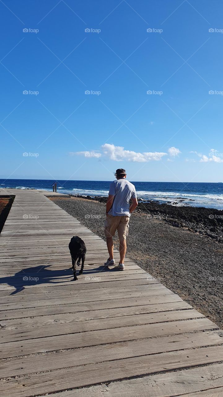 a man and his old dog by the sea