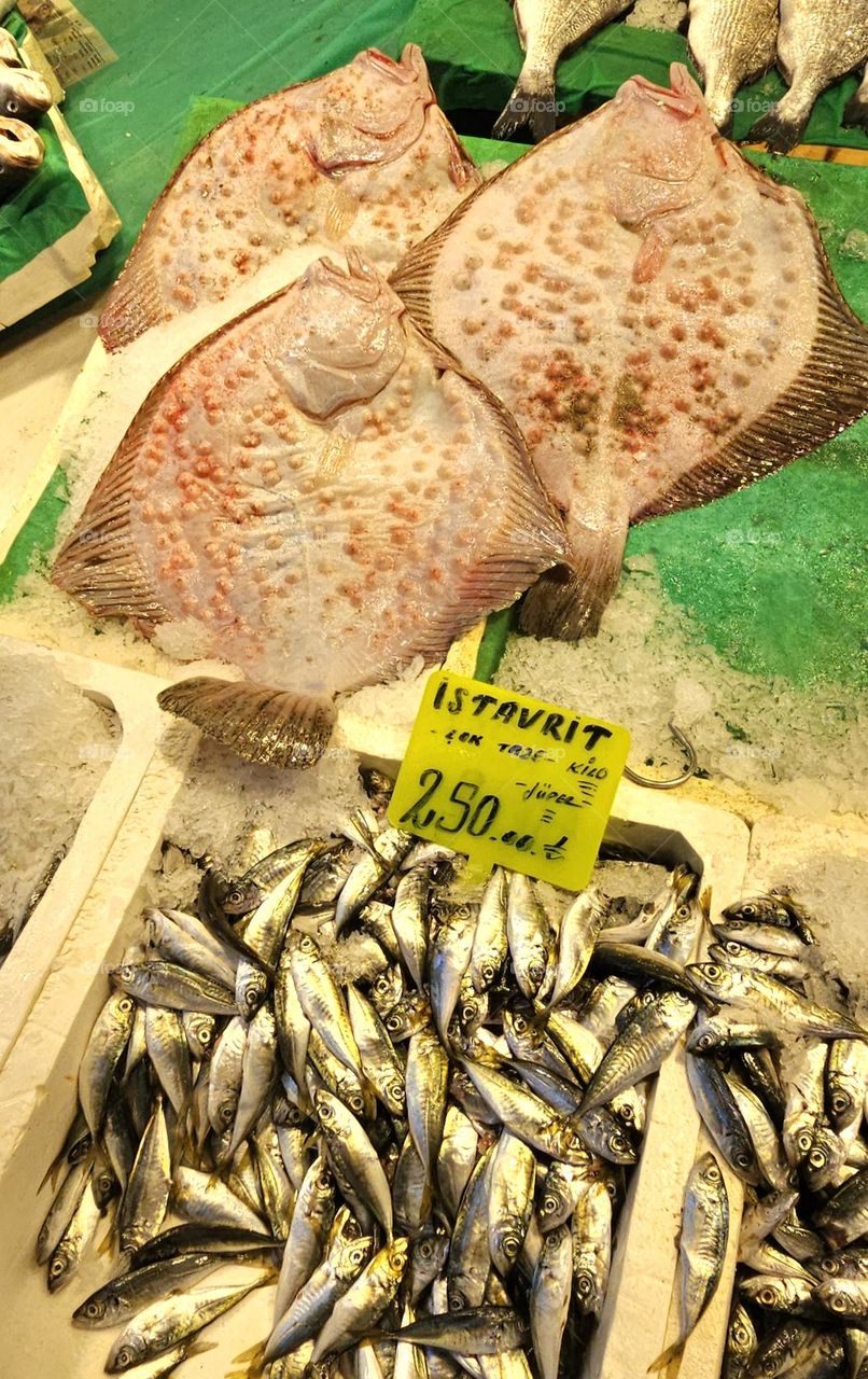 fish on sale