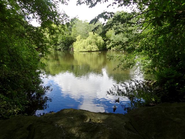 Pond at St. Stephen's Green