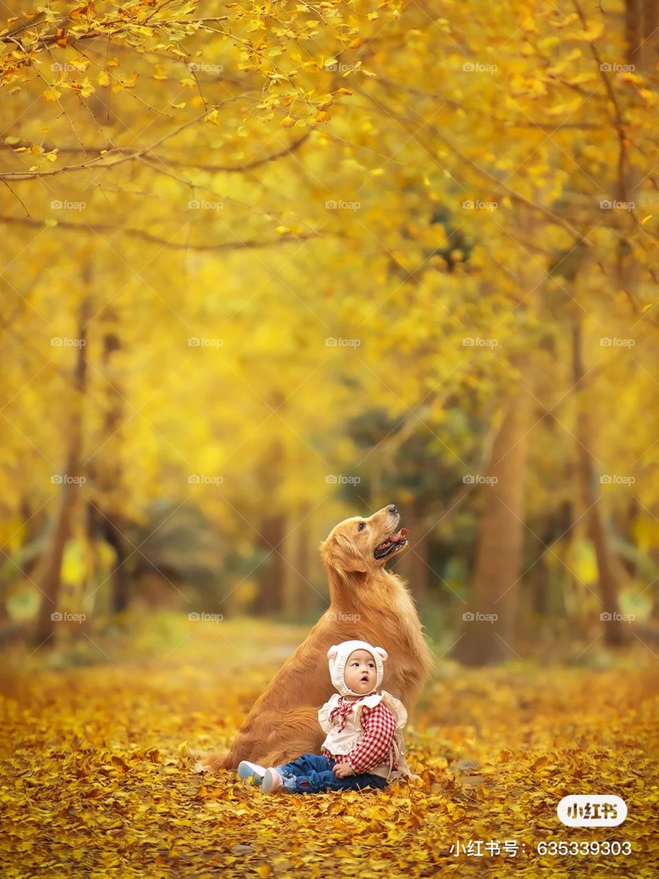 Together pet dog and baby