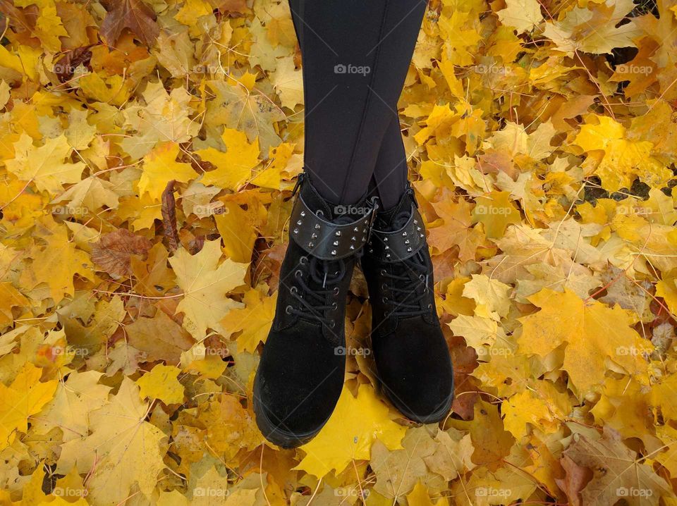 girl legs on the autumn leaves