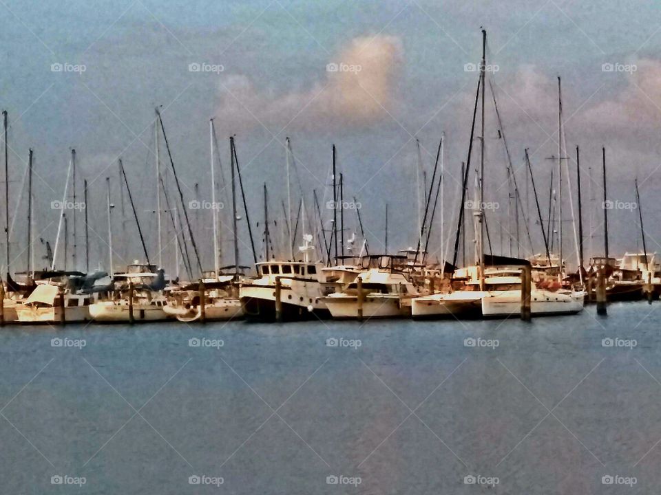 Boats at marina at St. pete