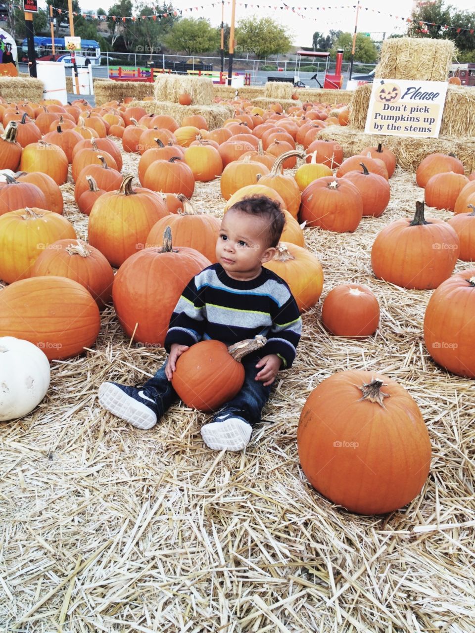 Baby boy at a pumpkin patch. . Baby boy at a pumpkin patch 