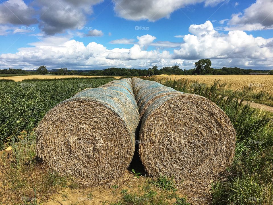 Two identical rows of hay bales 