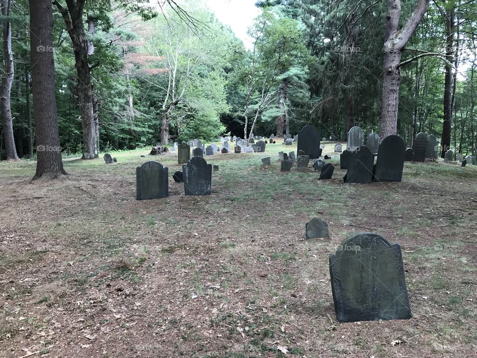 Graves in the woods