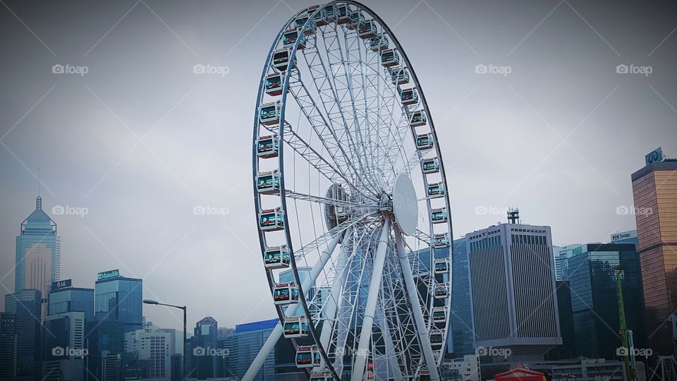 the wheel