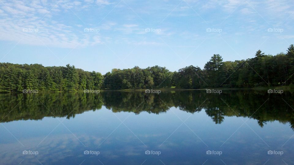 Reflective treeline on the lake