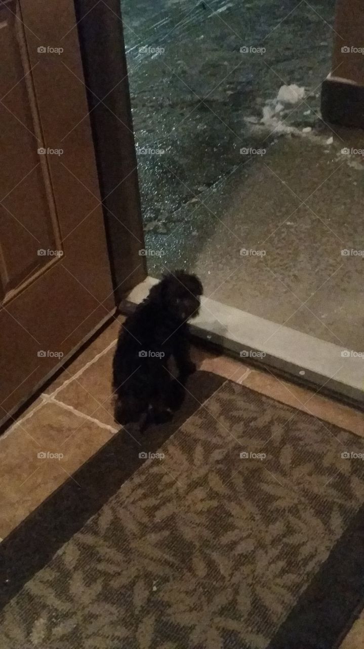 mom do I have to go outside it's icy and cold...