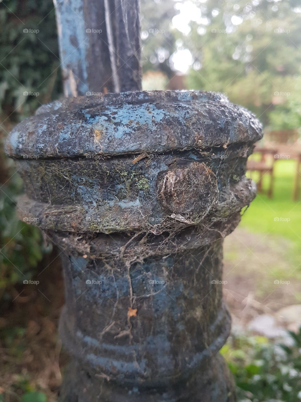 rust and cobweb macro